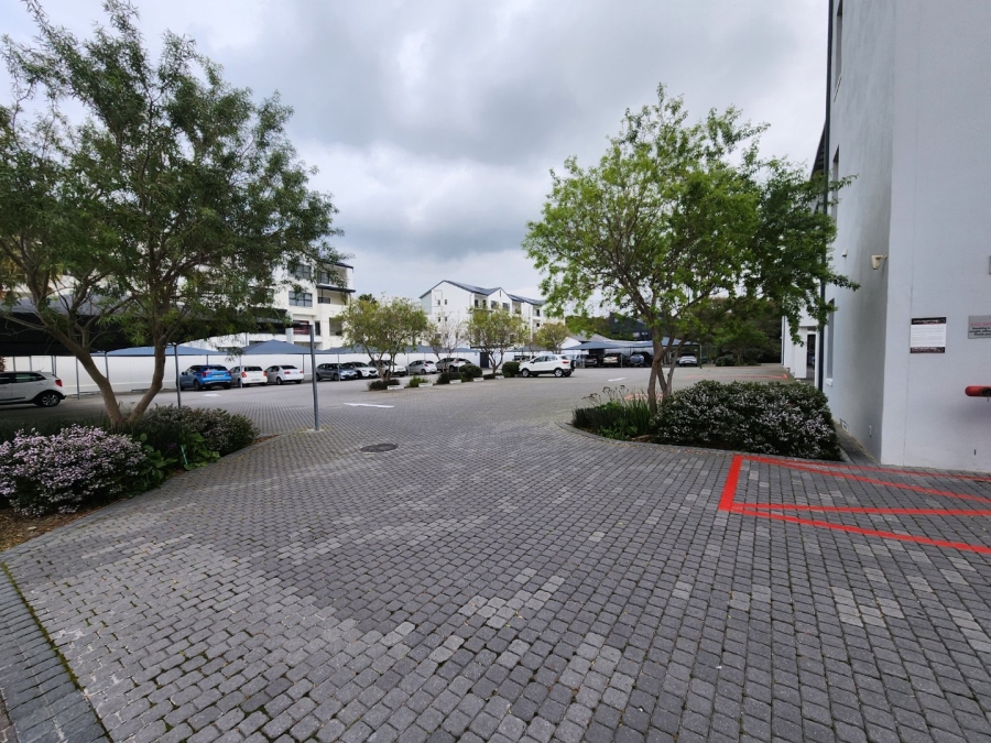 To Let commercial Property for Rent in Paardevlei Western Cape